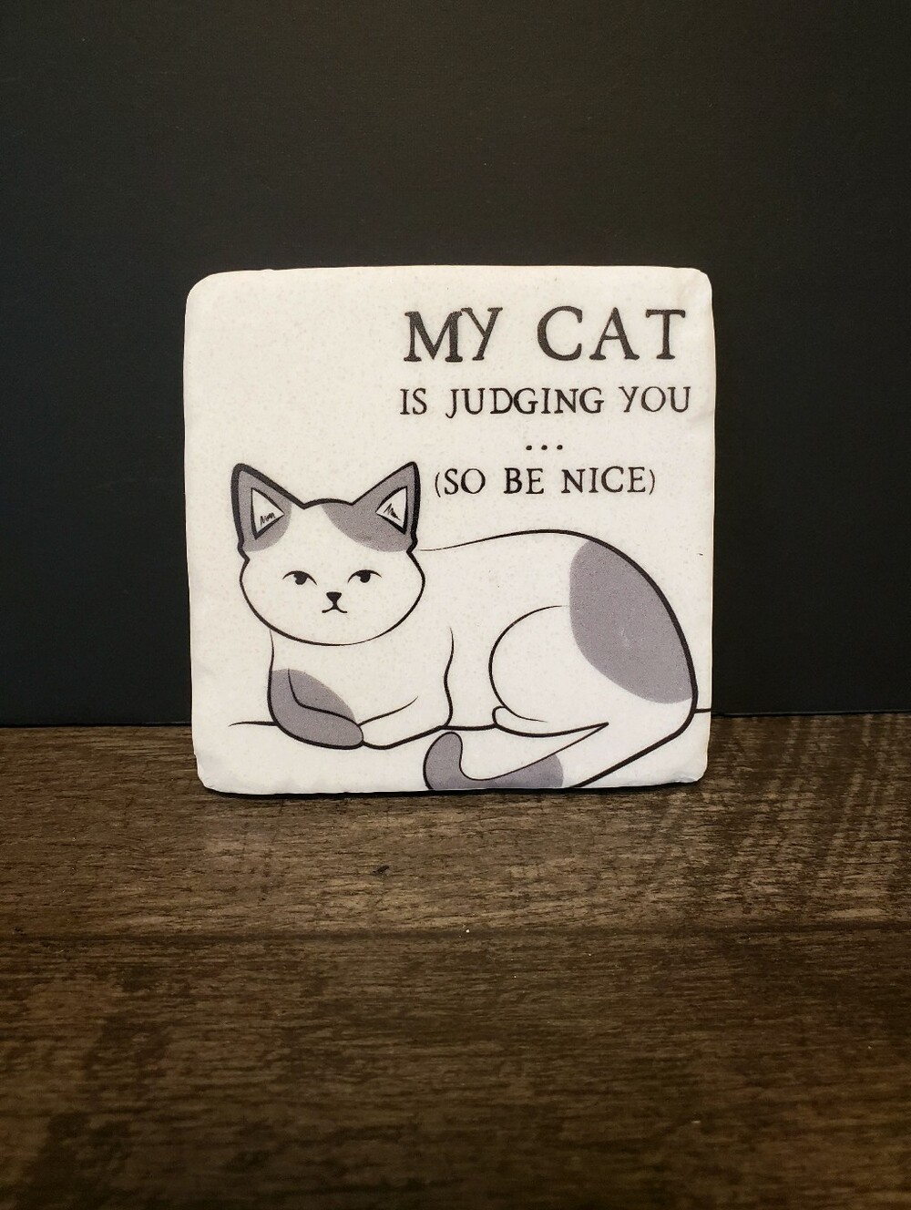 My Cat Is Judging You Gray Cat Decorative Coaster